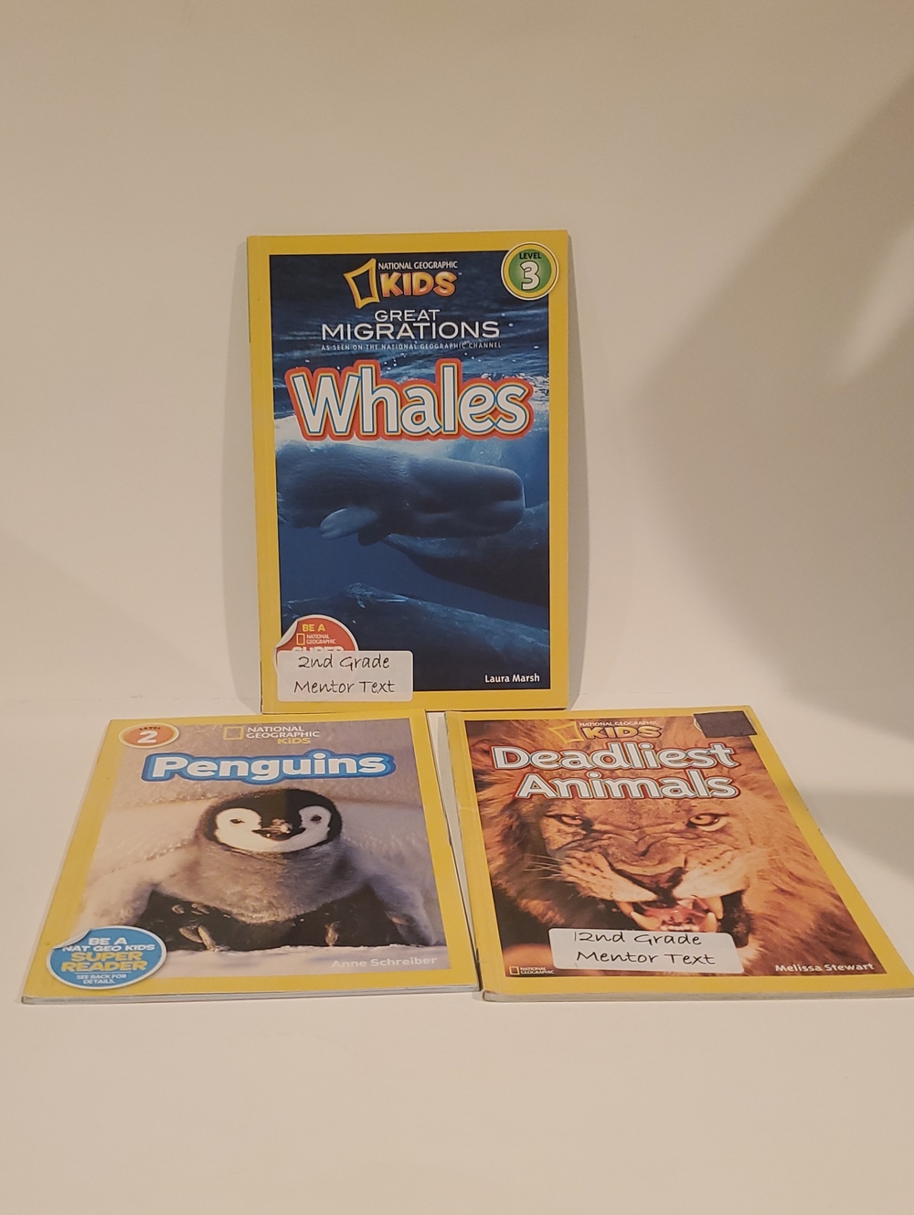 National Geographic Kids Books Lot Of 3: Whales, Animals, Penguins